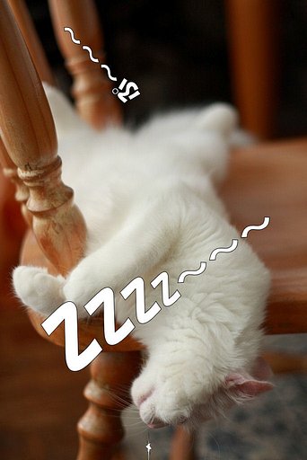 遊んでます