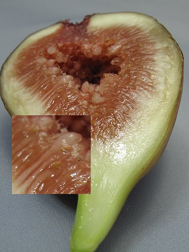 無花果