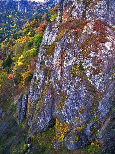 【紅葉の岩山】