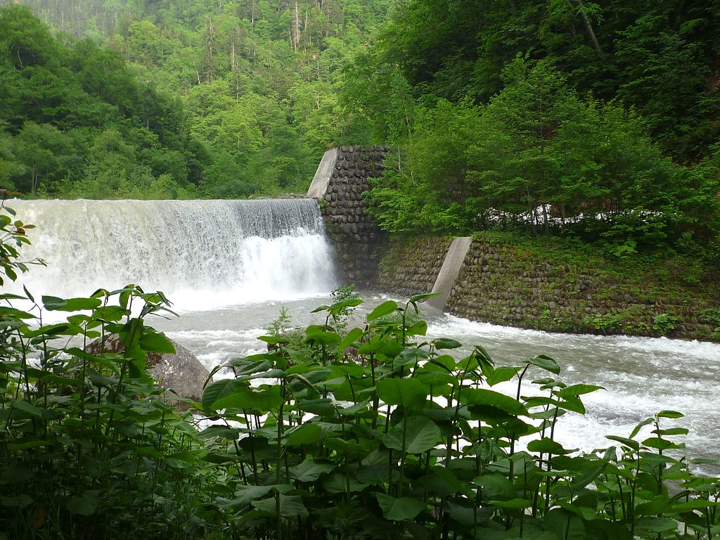 緑＆滝
