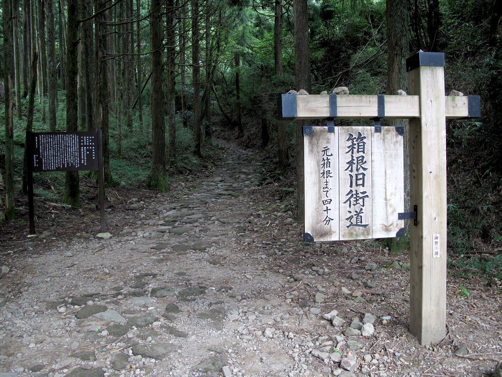 箱根旧街道