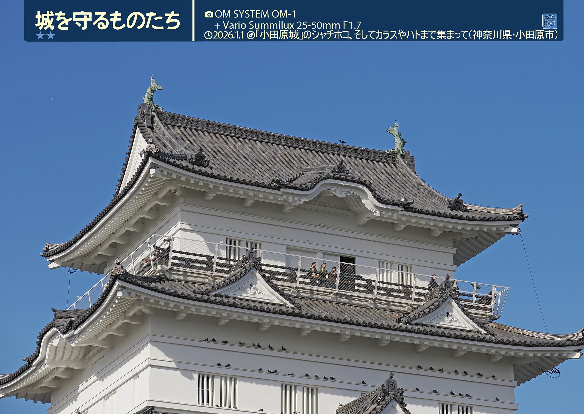 城を守るものたち２