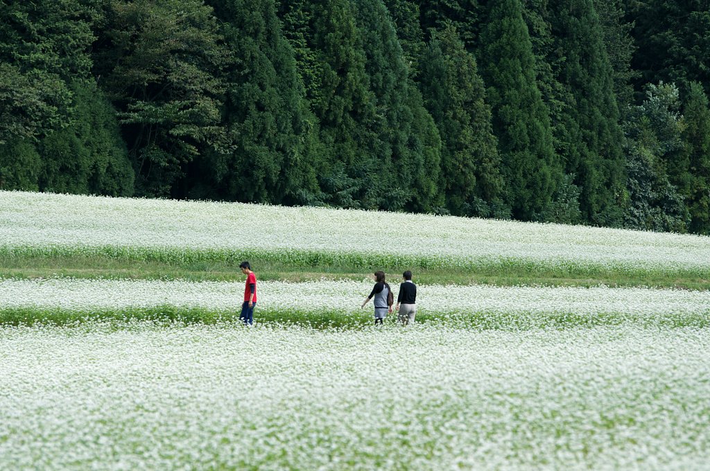 【花のある情景】秋の楽しみ・２