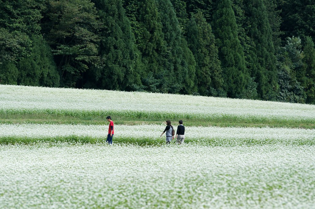 【花のある情景】秋の楽しみ・２
