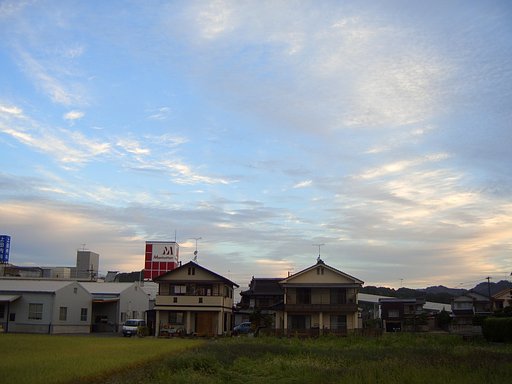 朝冷え