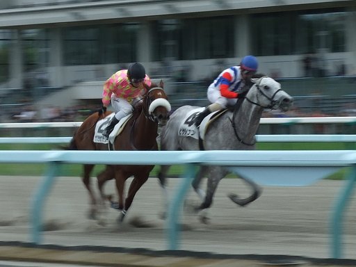 ダートレース