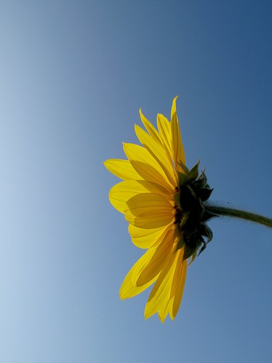 夏も終わりなのに・・・