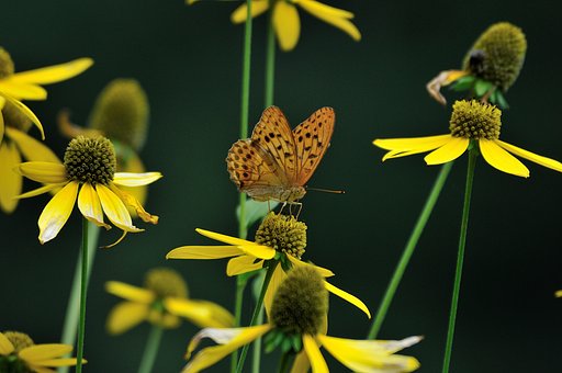 写真好きＡさんのようにはいかない