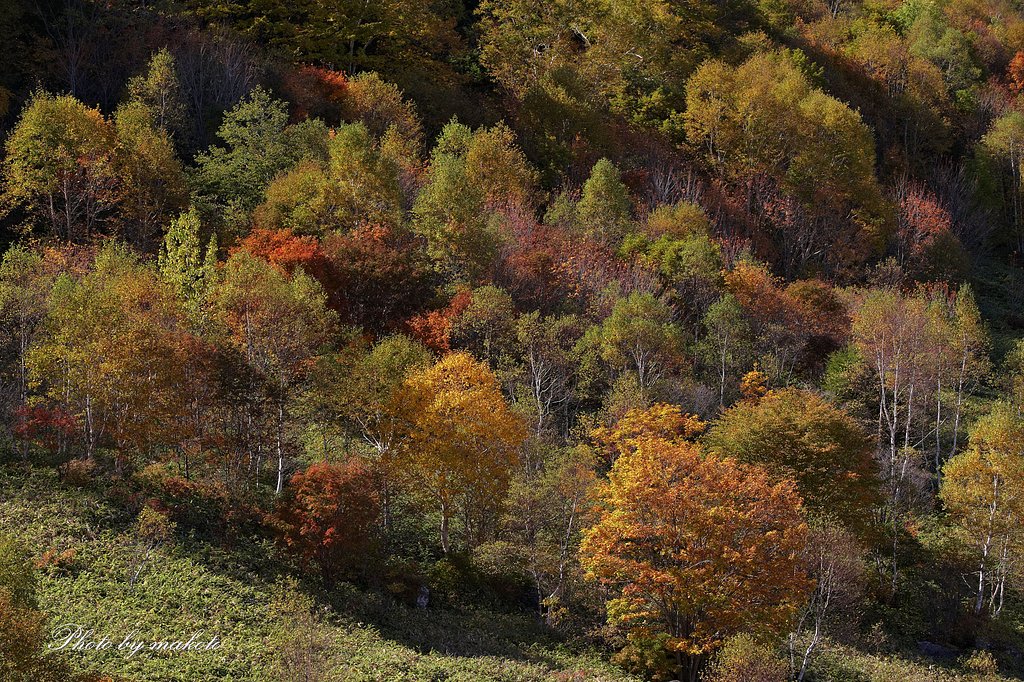 紅葉の麓