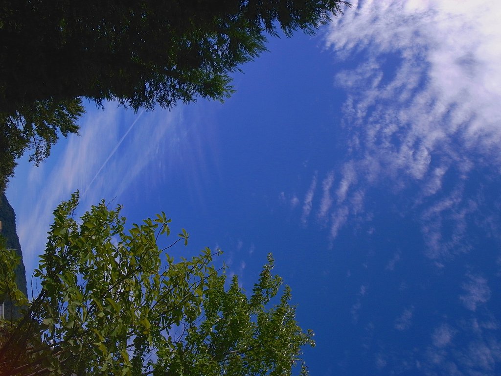 秋の空
