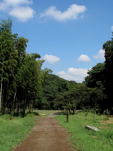 里山