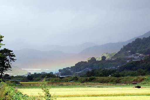 希望の虹が・・・