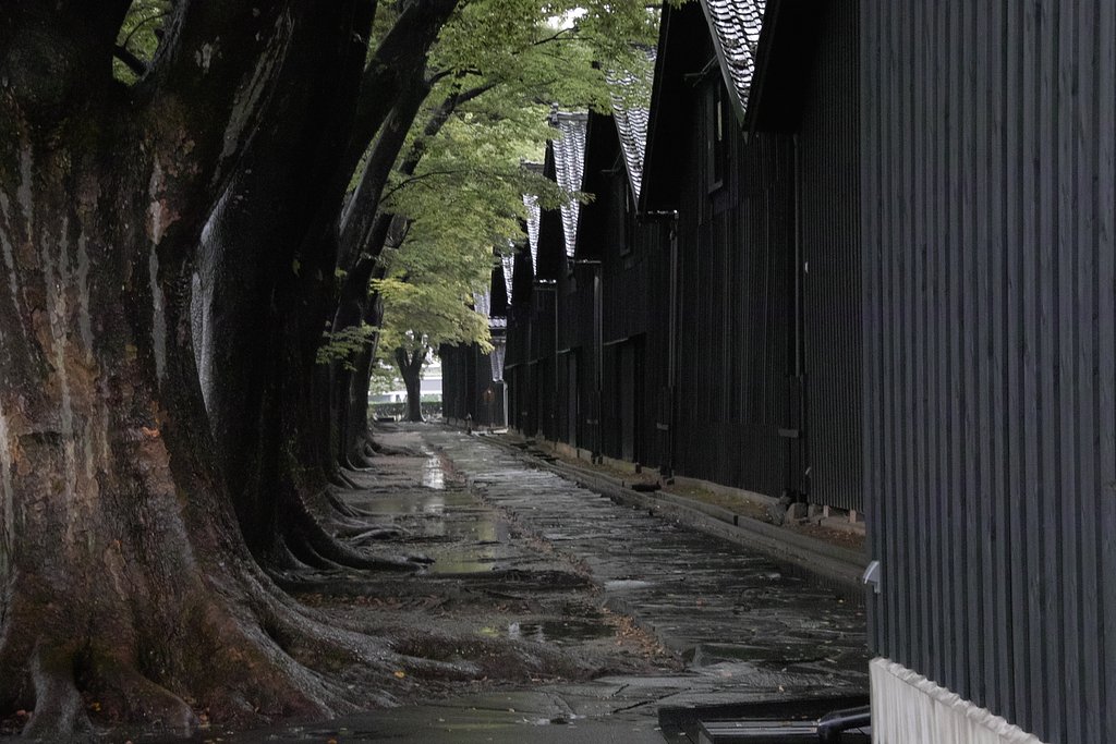 【写真しりとり】蔵　→　「ら」