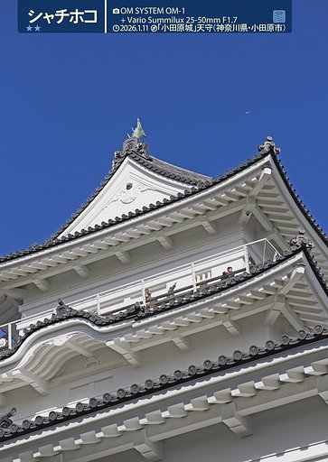 シャチホコ
