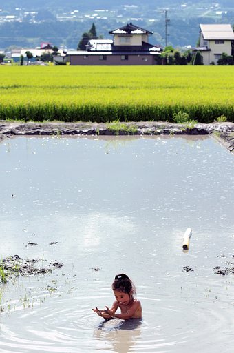 【燃】　燃えるように暑い日には泥浴