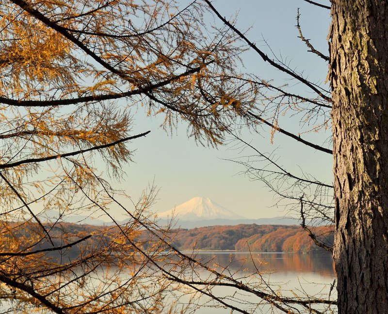 富士山