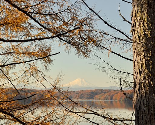 富士山