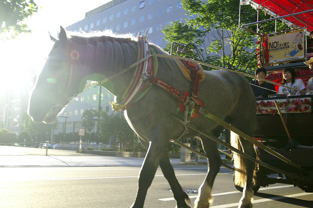 【緑】観光幌馬車