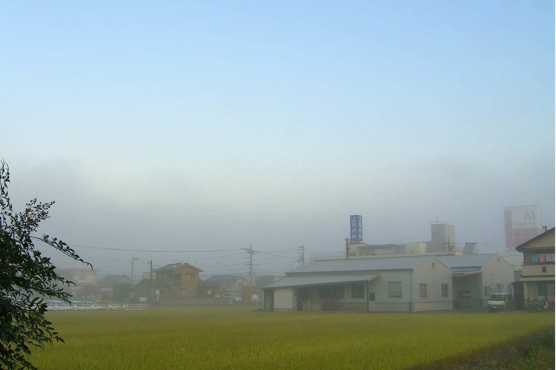 朝霧