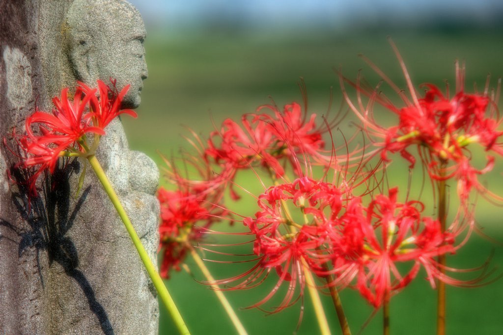 地蔵と彼岸花