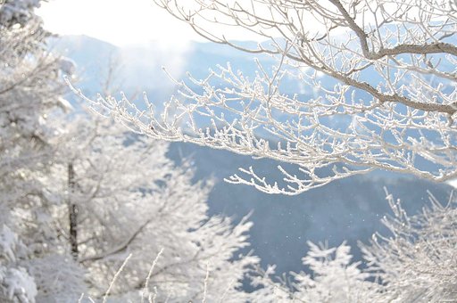 Winter Song