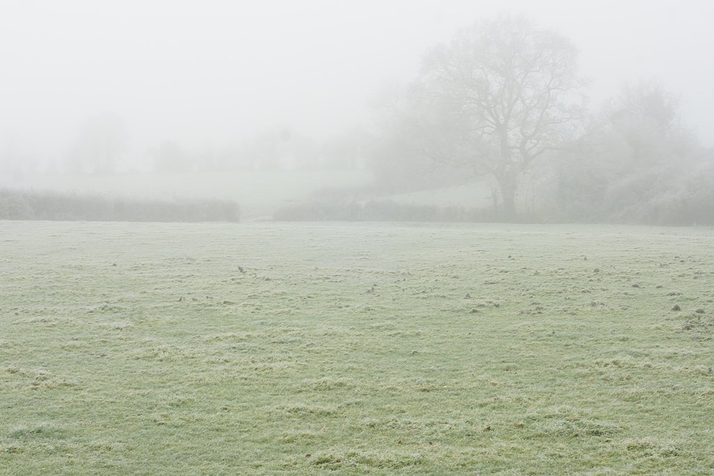 White out