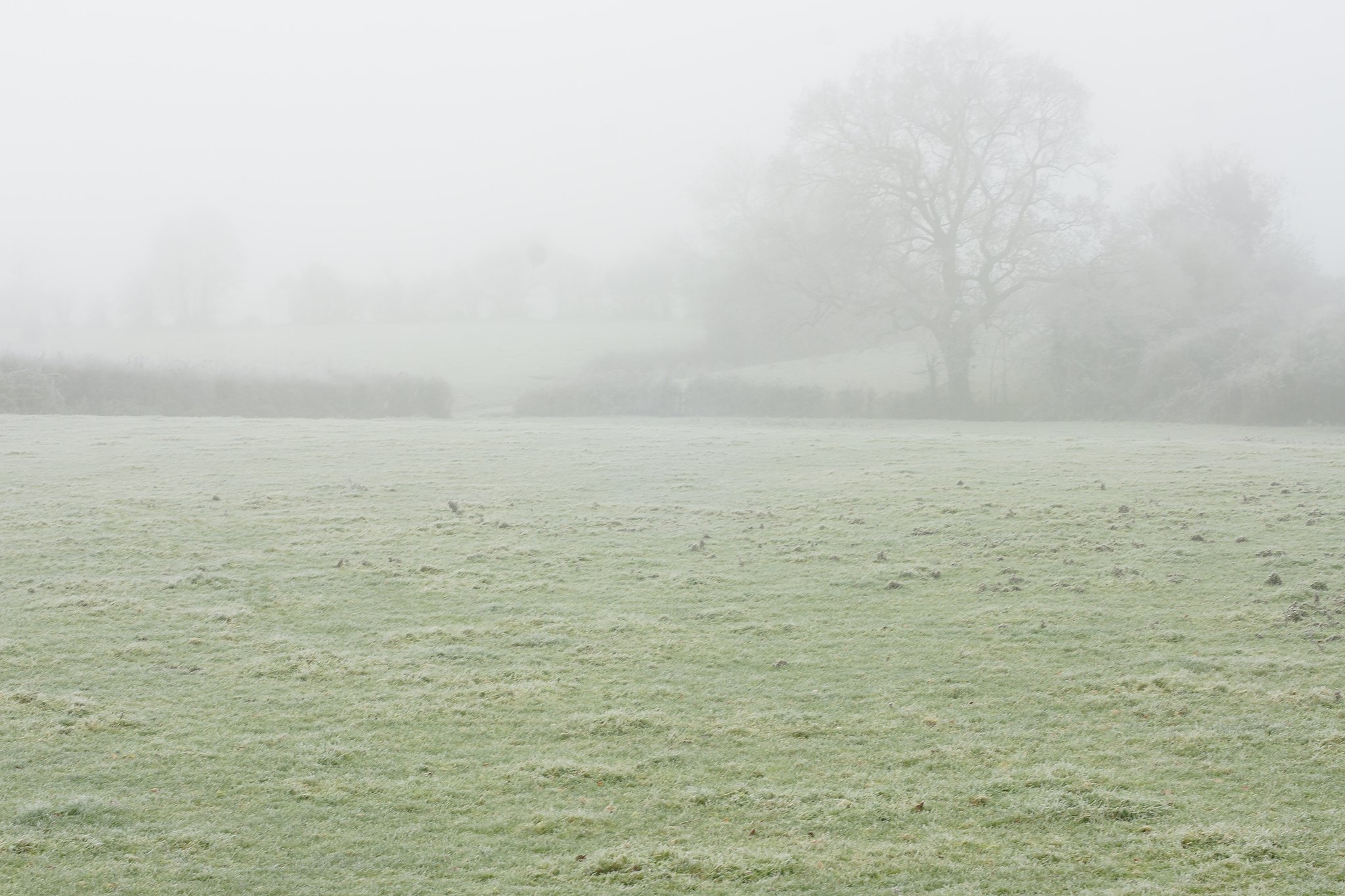 White out
