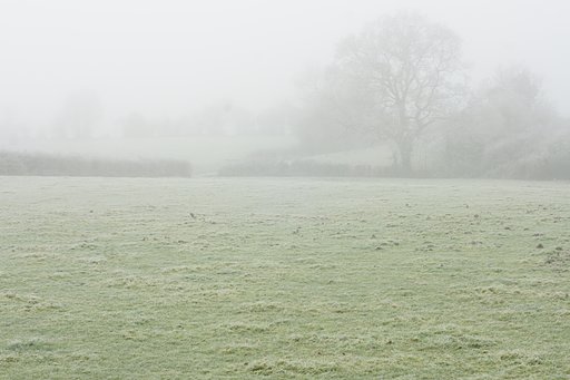 White out