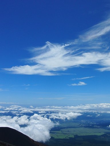 大空の怪鳥