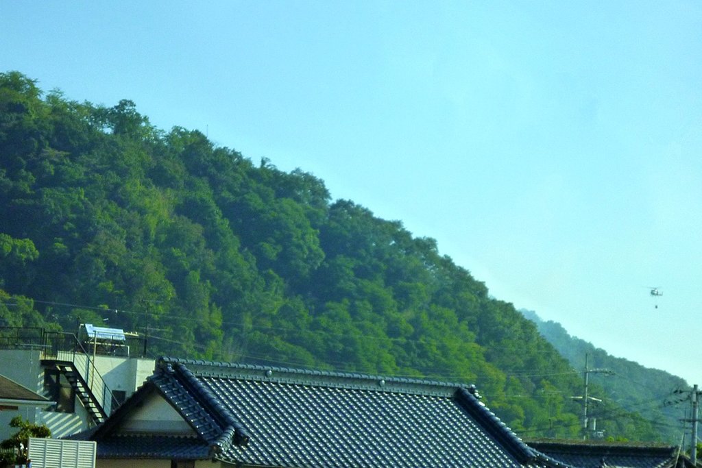 山火事