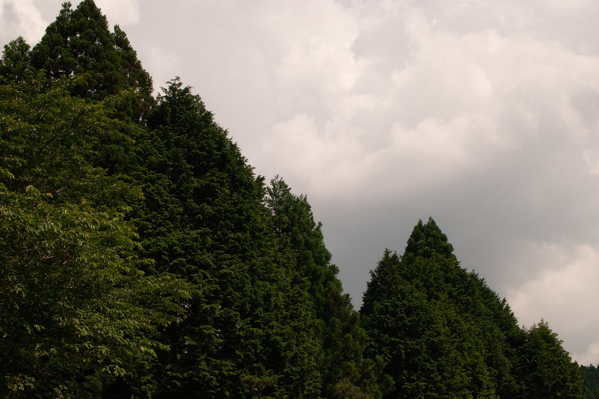 【写真しりとり】迫る嵐の雲行き、株価下落　→　「く」