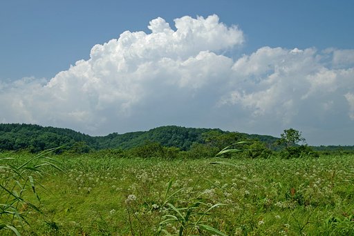 湿原の上に雷雲