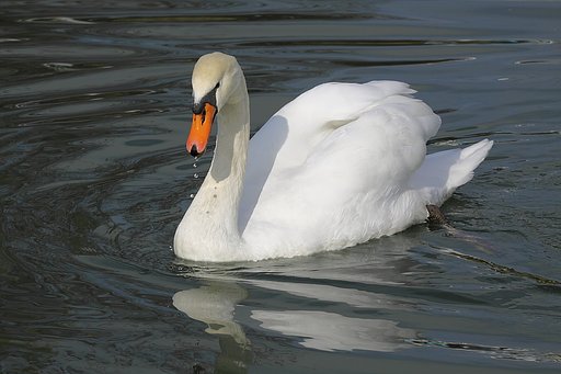 鼻水・・・ではありません
