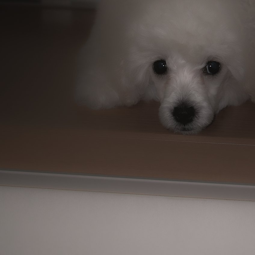 【写真しりとり】さらばじゃ→「や」