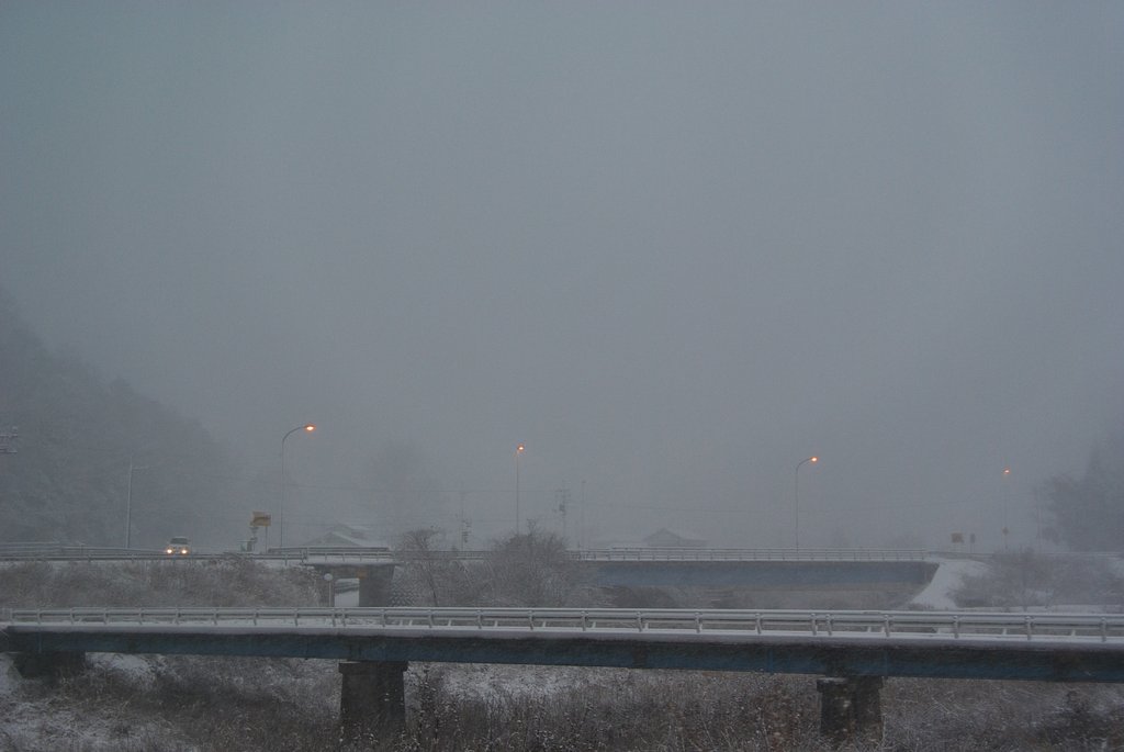 凄い吹雪です。