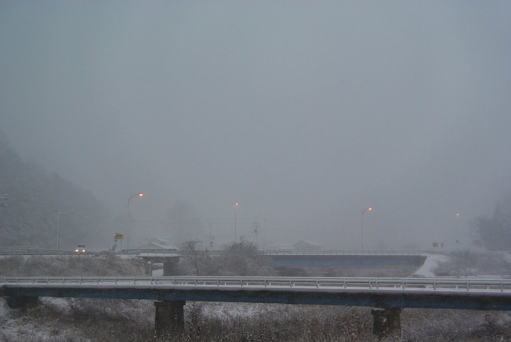 凄い吹雪です。