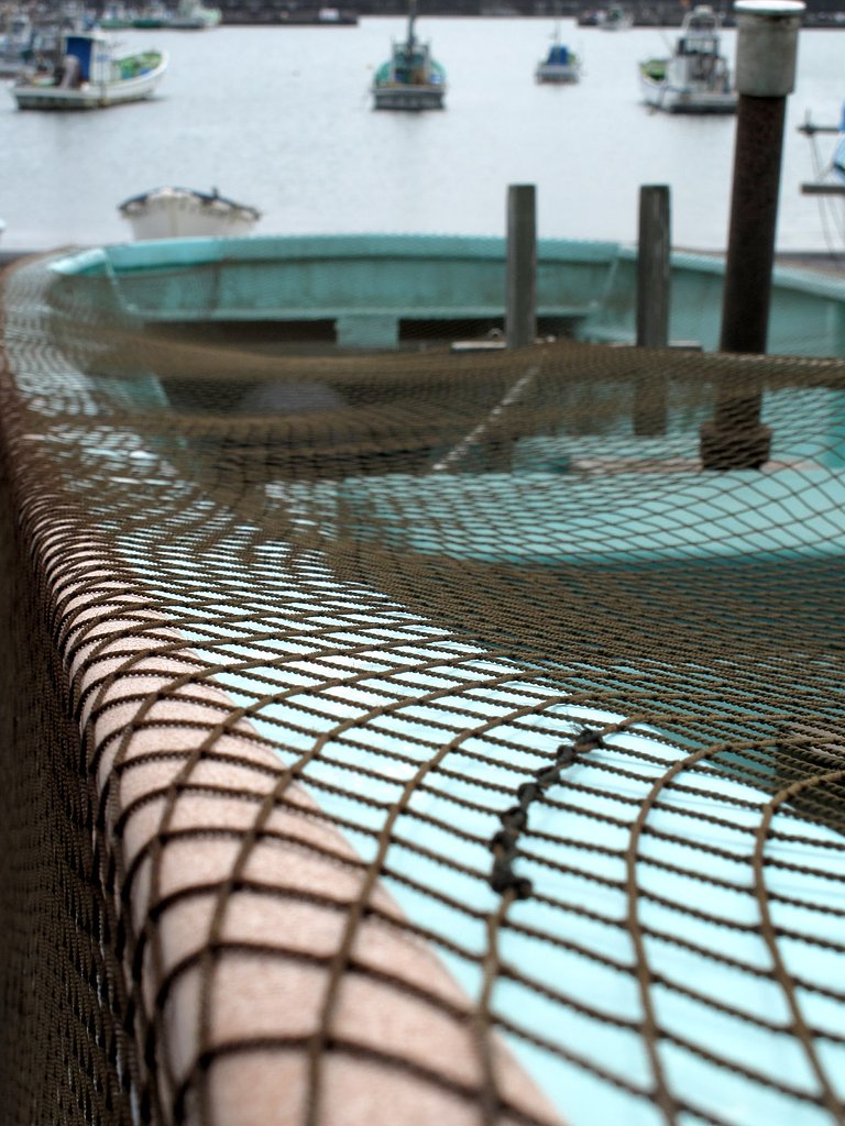 茅ヶ崎漁港