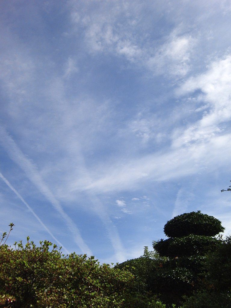 秋空も