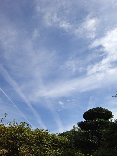 秋空も