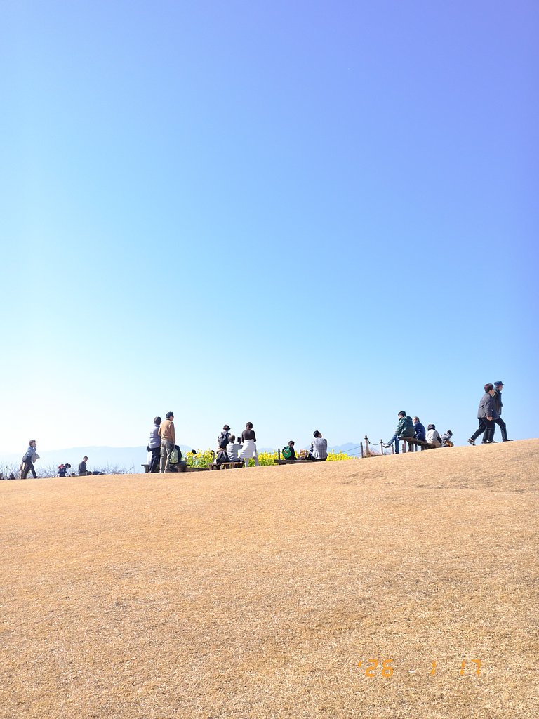 ココだけの春
