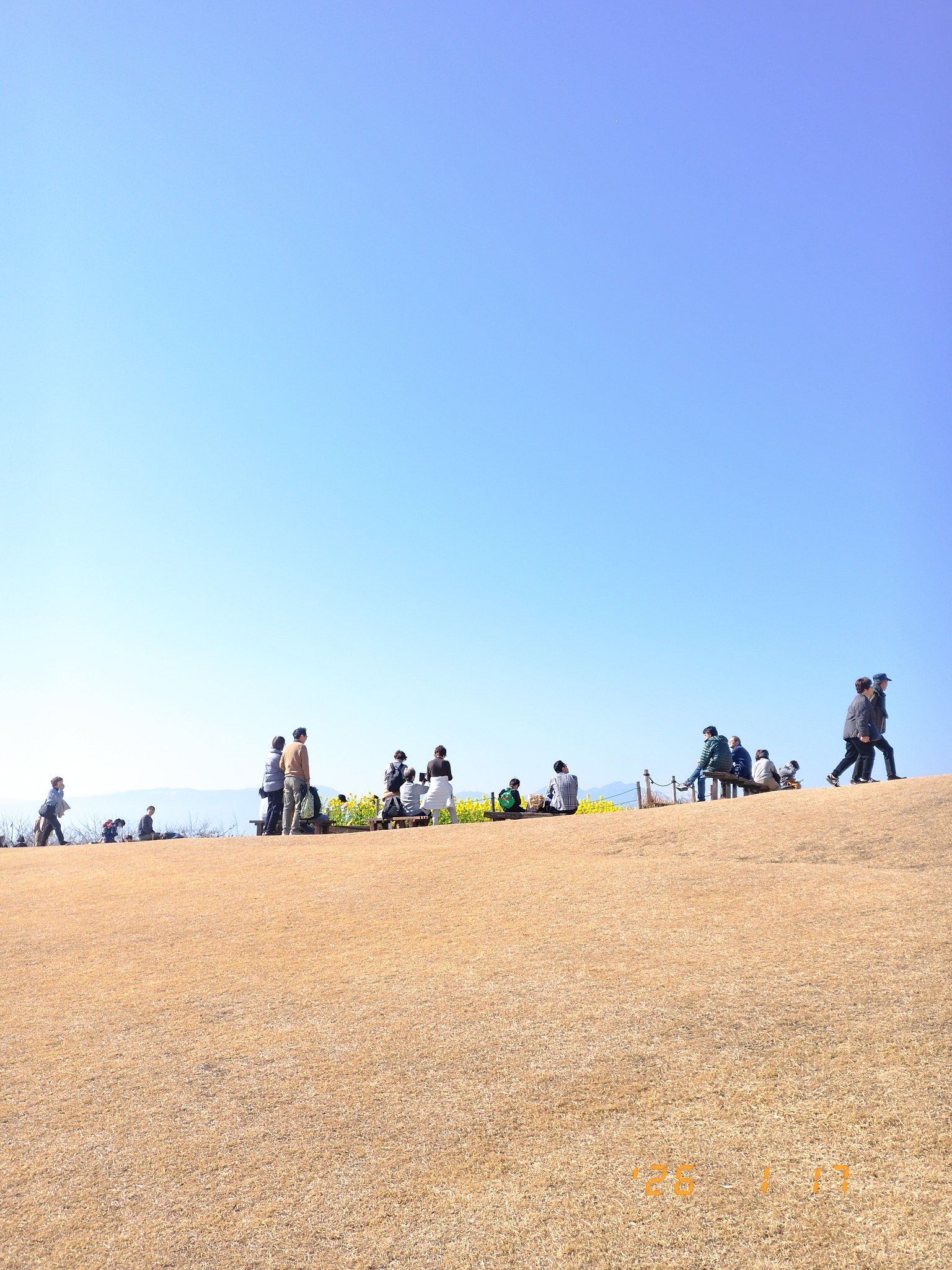 ココだけの春