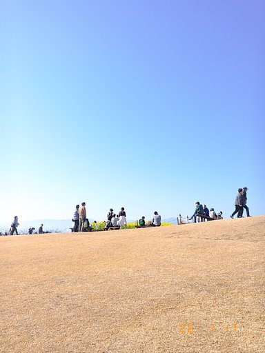 ココだけの春