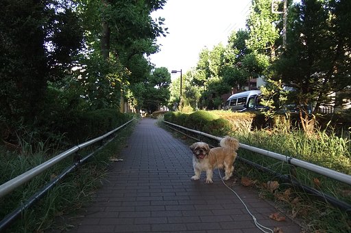 夏の夕暮れ・・・
