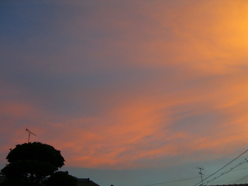夕焼け