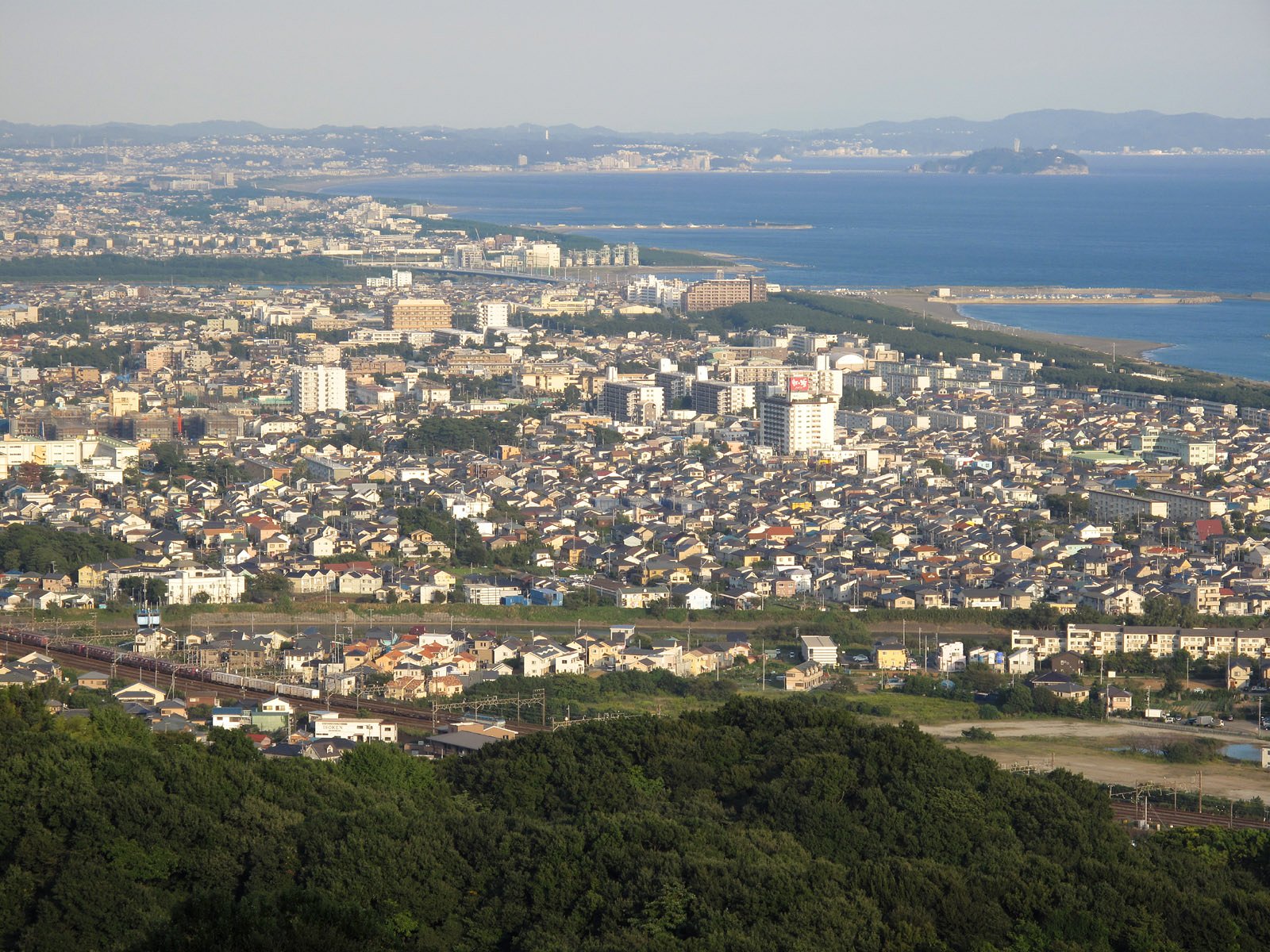 高麗山公園