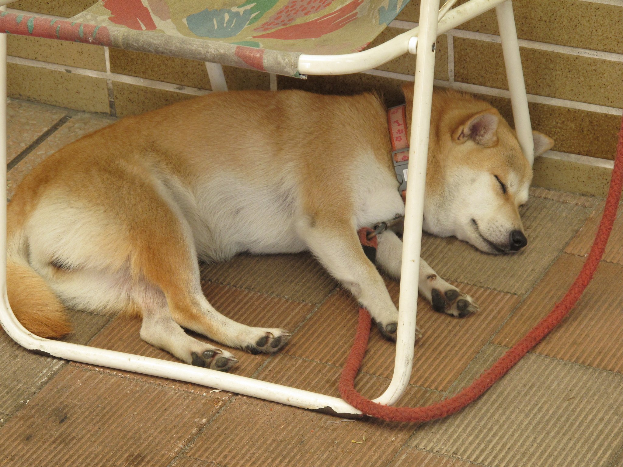 起こさんといて〜
