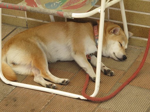 起こさんといて〜