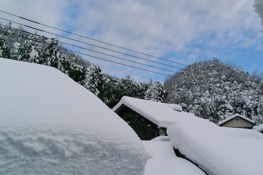 こんなに大雪が降ったのどこ?