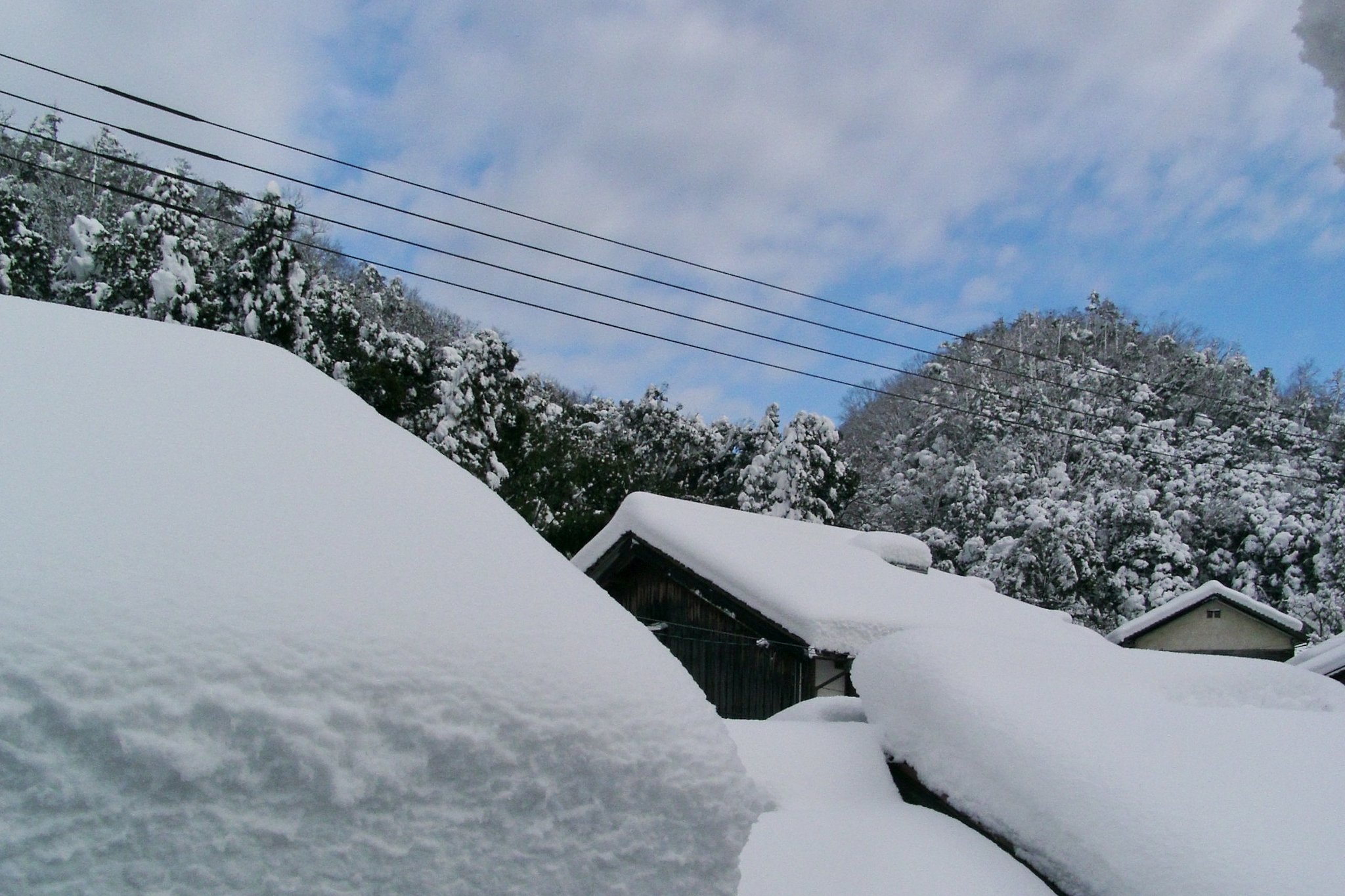 こんなに大雪が降ったのどこ?