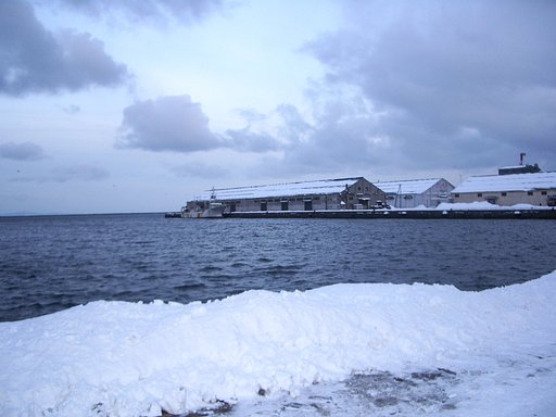 冬の海